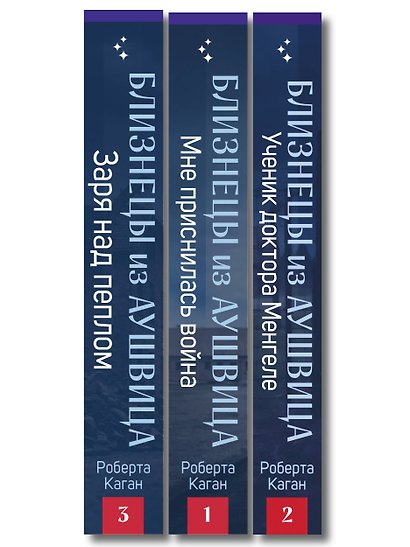 Комплект из 3-х книг: Близнецы из Аушвица (Мне приснилась война + Ученик доктора Менгеле + Заря над пеплом) - фото 10