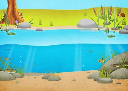 Моя книга наклеек. Природа - фото 2