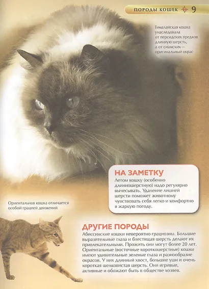 Лучшая иллюстрированная энциклопедия для девочек - фото 5