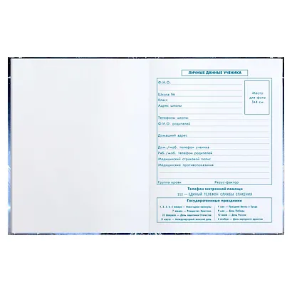 Дневник для младших классов Феникс+, "Лунный самурай" - фото 4