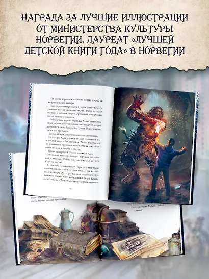 Тролльхейм. Тайна замка Ворона - фото 8