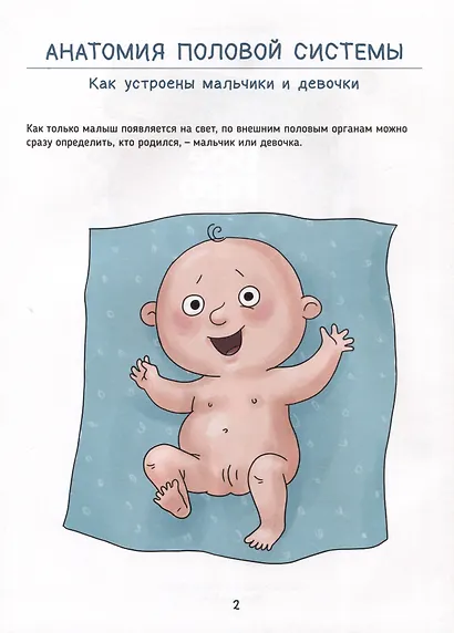 ВСЁ ПРО ЭТО. ИНТИМНЫЙ ЛИКБЕЗ ДЛЯ ДЕТЕЙ глянц.ламин.обл. офсет 215х288 - фото 3