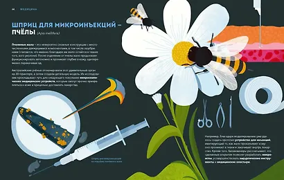 Дикие изобретения. 40 технологий, подаренных нам природой - фото 12