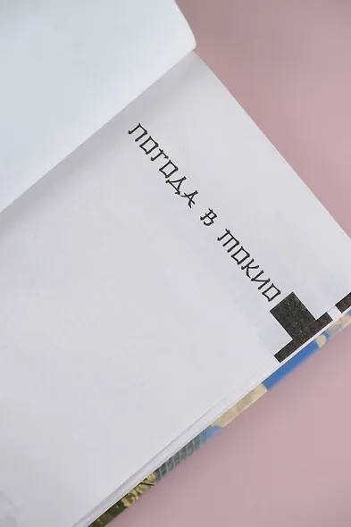 Дневник пустоты - фото 6