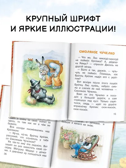 Сказки дядюшки Римуса - фото 5