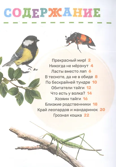 Животные - фото 2