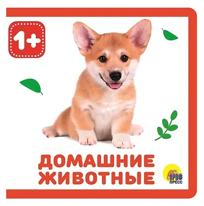 Домашние животные - фото 1