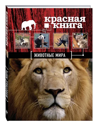 Красная книга. Животные мира - фото 3
