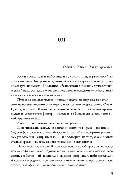 Топить в огне бушующем печали. Том 3 - фото 9