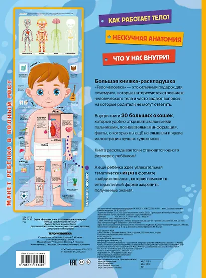 Тело человека - фото 2