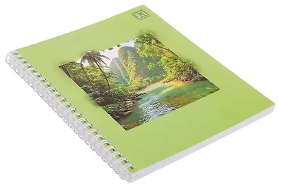 Тетрадь 96л кл. "Таинственная природа" гребень, мел.картон, выб.лак. 2-я обложка-разделитель: мел.картон, ассорти - фото 2