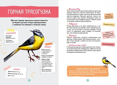 Птицы - фото 9