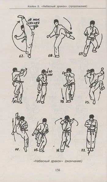 Вьетводао-Вовинам. От начинающего к черному поясу - фото 5