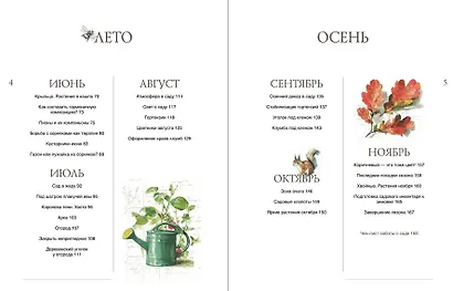 Сад моей мечты. Неспешное создание своего места силы - фото 5