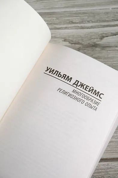 Многообразие религиозного опыта - фото 8