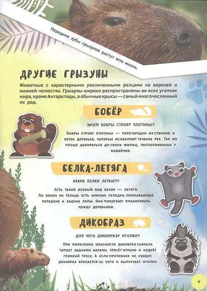 Знакомство с животными. 4D книга - фото 5