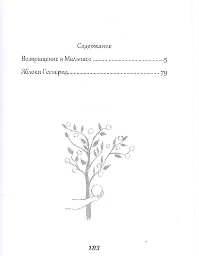 Возвращение в Мальпасо - фото 2