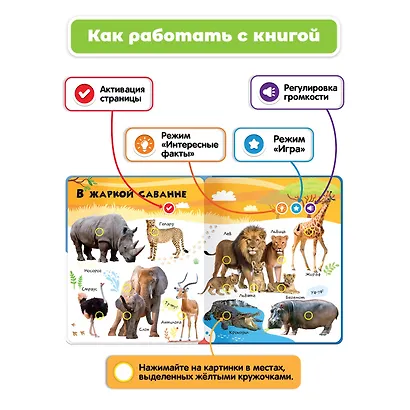 Нажималка. Животные. Говорящая интерактивная электронная книга - фото 4