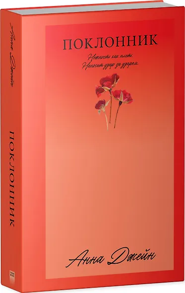 Поклонник - фото 3