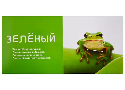 Первые слова. Я учу цвета. Фотокнига со стихами - фото 5