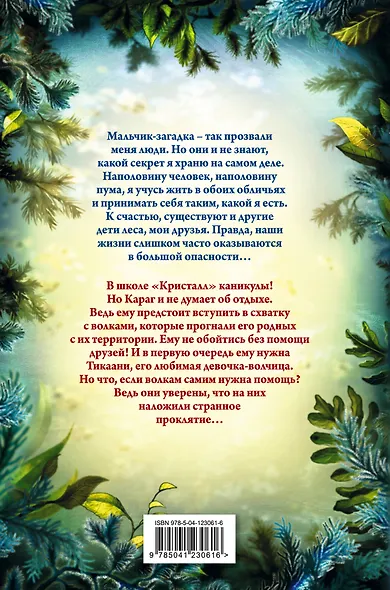 Дети леса. Караг и волчье испытание (#7) - фото 2