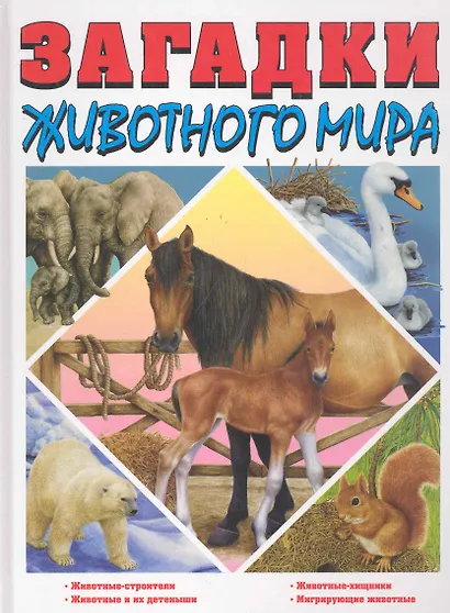 Закадки животного мира - фото 1