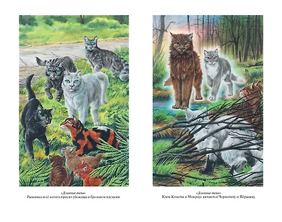 Длинные тени. Восход солнца - фото 11