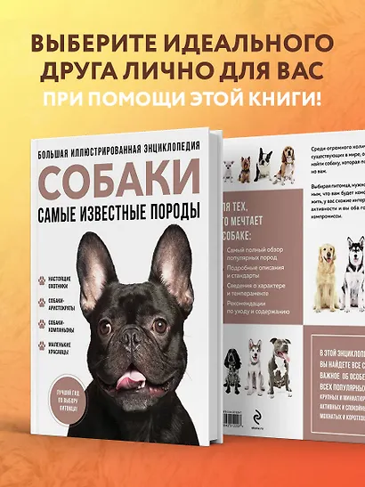 Самые известные породы. СОБАКИ. Большая иллюстрированная энциклопедия - фото 7