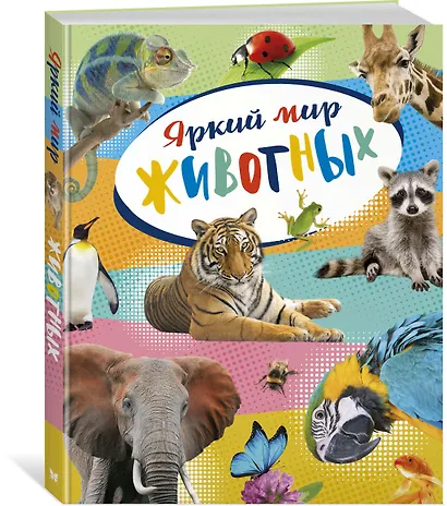 Яркий мир животных - фото 3