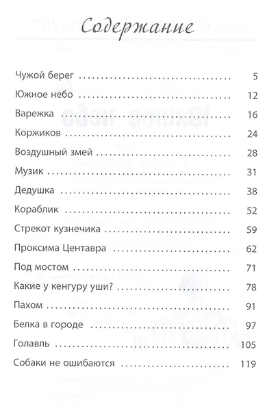 Южное небо - фото 2