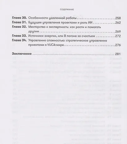 Проджект-менеджмент: Как быть профессионалом - фото 4