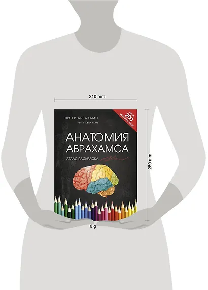 Анатомия Абрахамса. Атлас-раскраска - фото 8