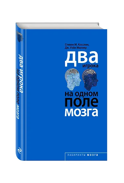 Два игрока на одном поле мозга - фото 3