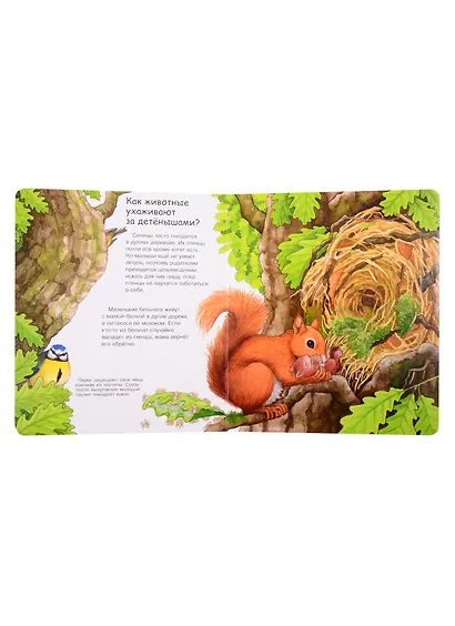 Мамы и малыши (с волшебными окошками) - фото 8