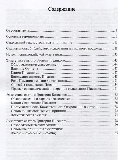 Экзегетика Священного писания: Каппадокийские отцы. Учебное пособие - фото 2