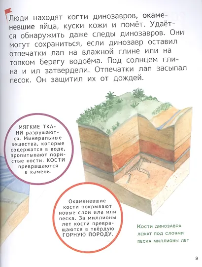 Динозавры. Энциклопедия для первого чтения с крупными буквами - фото 5