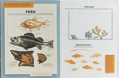 Как устроен мир животных - фото 2