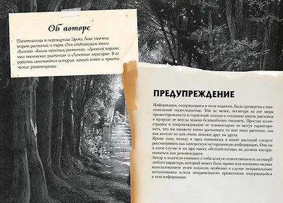 Маленький гримуар ведьмы. Зелья и волшебные травы - фото 9