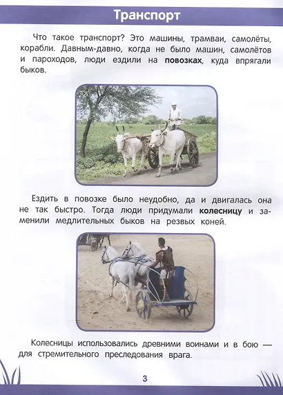 Книга знаний дошкольника. 6-7 лет: логика, этикет и многое другое - фото 3