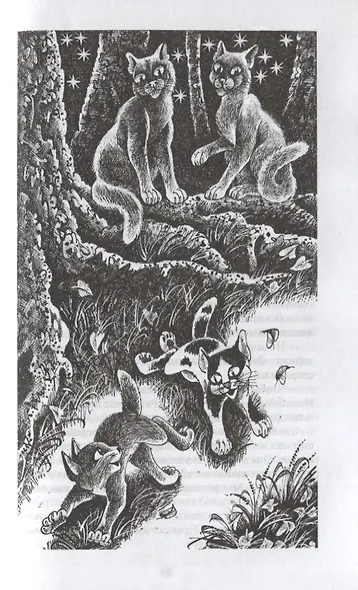 Гроза и Тень - фото 2