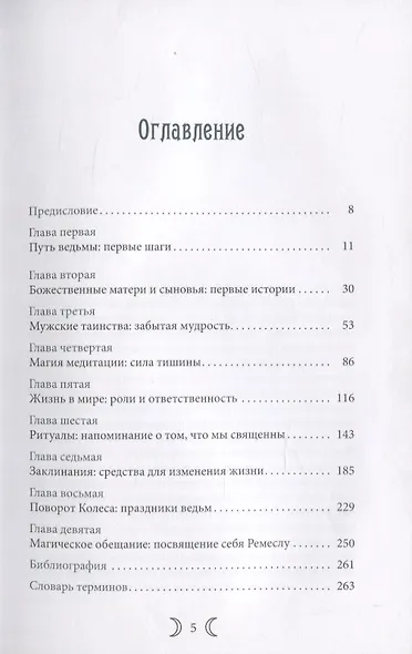 Сыновья Богини. Введение в Викку для юношей - фото 2