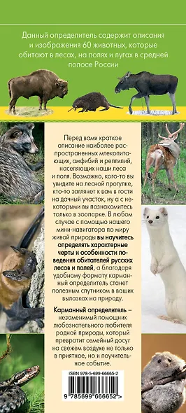 Животные. Определитель животных русских лесов и полей - фото 2