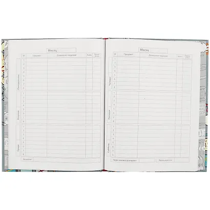 Дневник школьный Феникс+, "Скейты" - фото 2