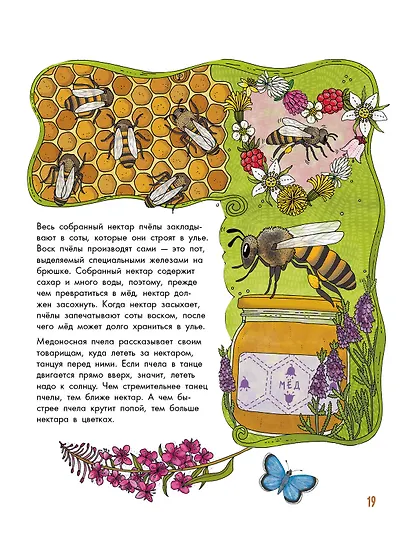 Насекомые - фото 5