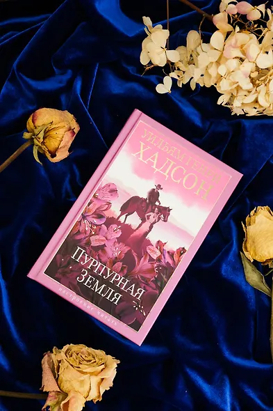 Пурпурная Земля - фото 12