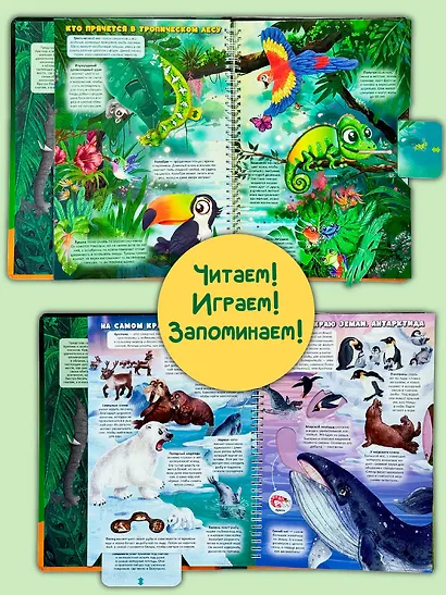 Атлас Земли. Животные. Интерактивная книга - фото 13