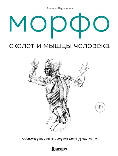 МОРФО. Скелет и мышцы человека. Анатомия для художников - фото 1