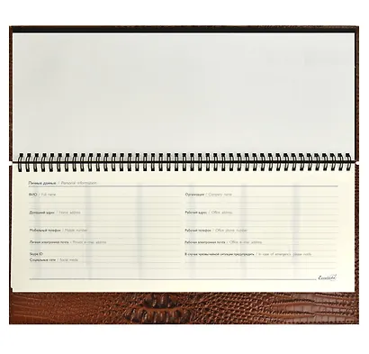 Планинг недат. 64л. "Аллигатор" коричневый, наст, кожзам, тв.преплет, обл.поролон, тиснение фольгой, офсет, откр.евроспираль, подар.упаковка - фото 4