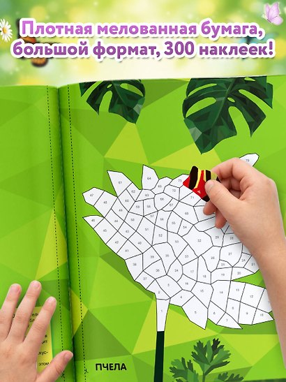 Насекомые - фото 6