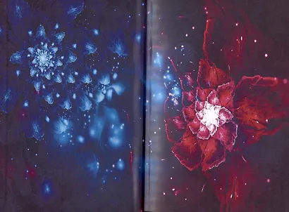 Игра теней. Претендентка. Книга вторая - фото 3